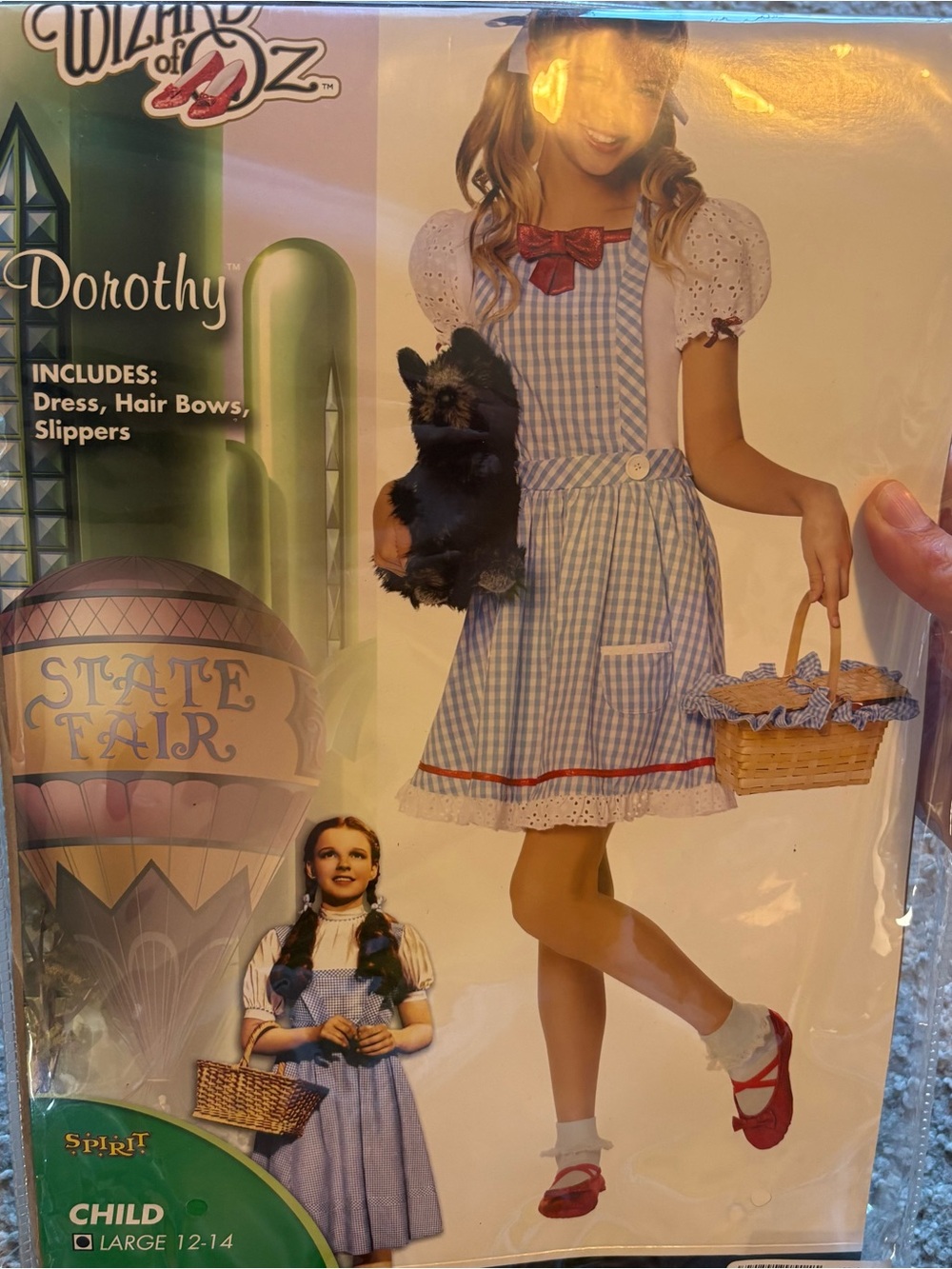 Wizard of Oz Blue Gingham Dorothy Costume Large 12 14 Child Spirit Halloween